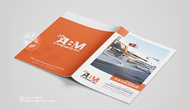 Thiết kế Catalogue ABM