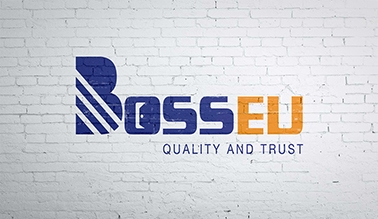 Dự án thiết kế logo BOSSEU