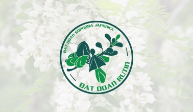 Dự án thiết kế logo nông thủy sản ĐẠT DOAN