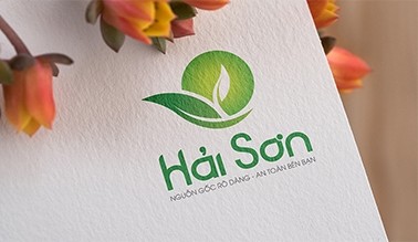 Thiết kế logo thương hiệu Hải Sơn