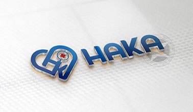 Thiết kế logo thương hiệu HAKA