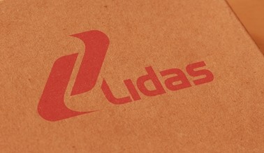 Dự án thiết kế logo LIDAS